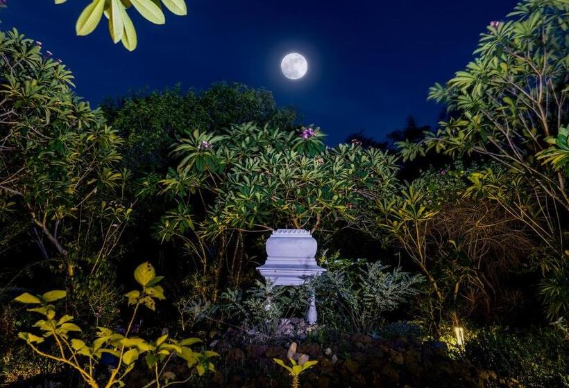 آپارتمان 1 خوابه با چشم‌انداز باغ, Gaia's Garden Guest House