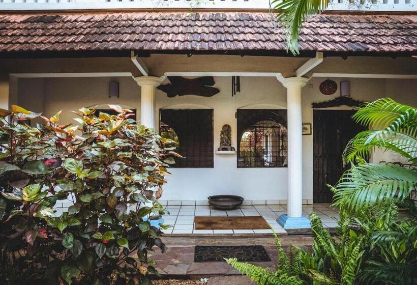 اتاق استاندارد با چشم‌انداز باغ, Gaia's Garden Guest House