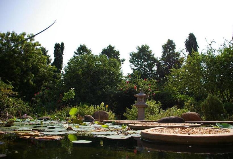 اتاق استاندارد با چشم‌انداز باغ, Gaia's Garden Guest House