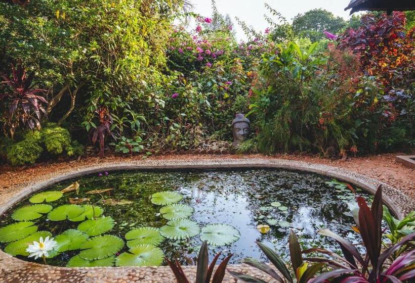 اتاق لوکس با چشم‌انداز باغ, Gaia's Garden Guest House