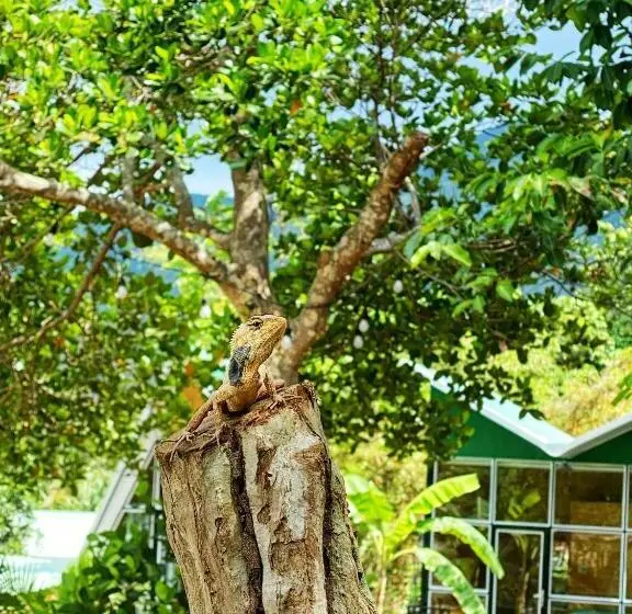 اتاق استاندارد چهارنفره با چشم‌انداز باغ, Homestay De La Rosa   Côn đảo