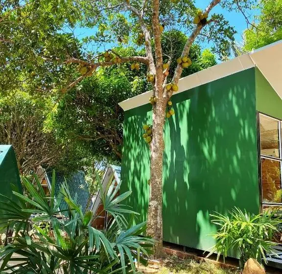 اتاق استاندارد چهارنفره با چشم‌انداز باغ, Homestay De La Rosa   Côn đảo