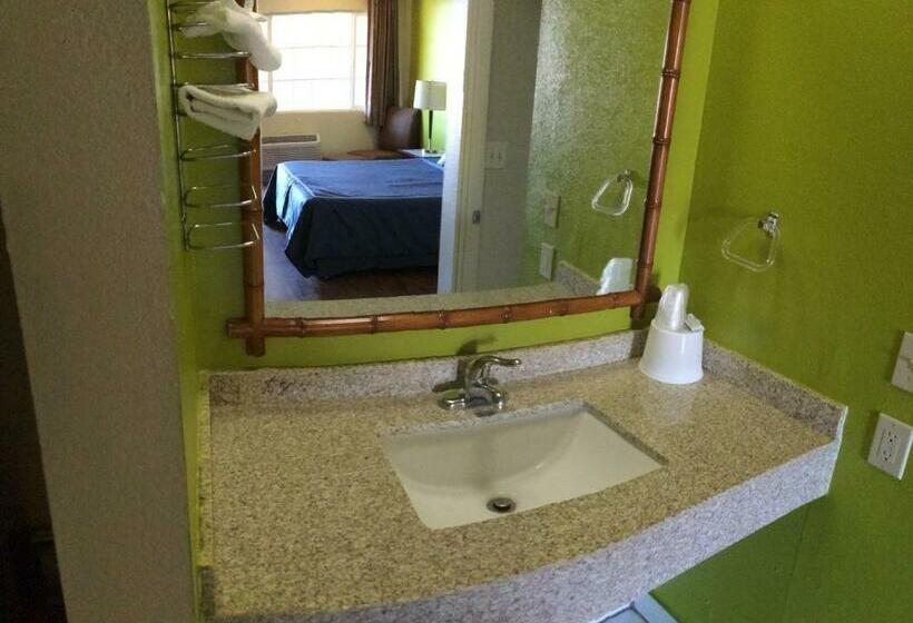 带大床的标准间, Discovery Inn