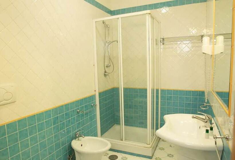 اتاق استاندارد یک نفره, Potenza