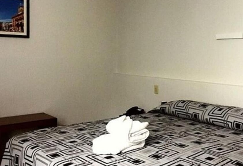 스탠다드 룸, Terranova