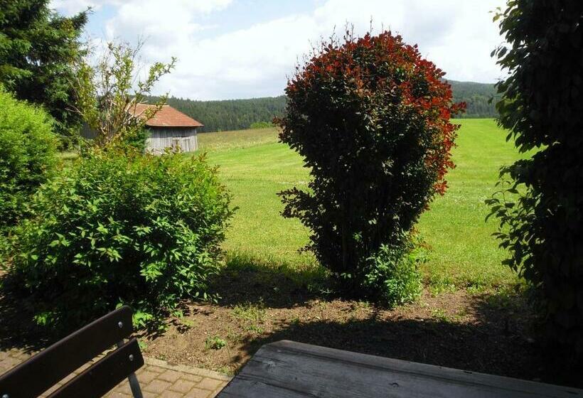 اتاق استاندارد با تراس, Gasthof Pension Kraus