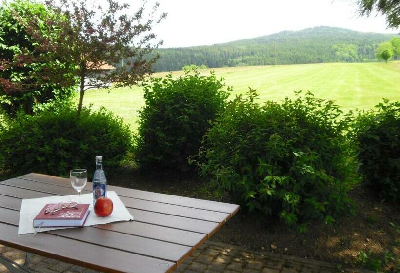 اتاق استاندارد با تراس, Gasthof Pension Kraus