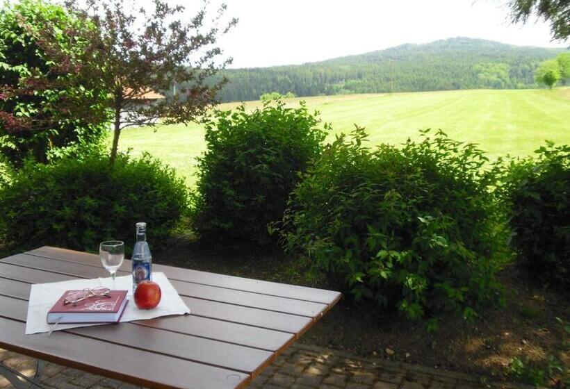 اتاق یک تخته با تراس, Gasthof Pension Kraus