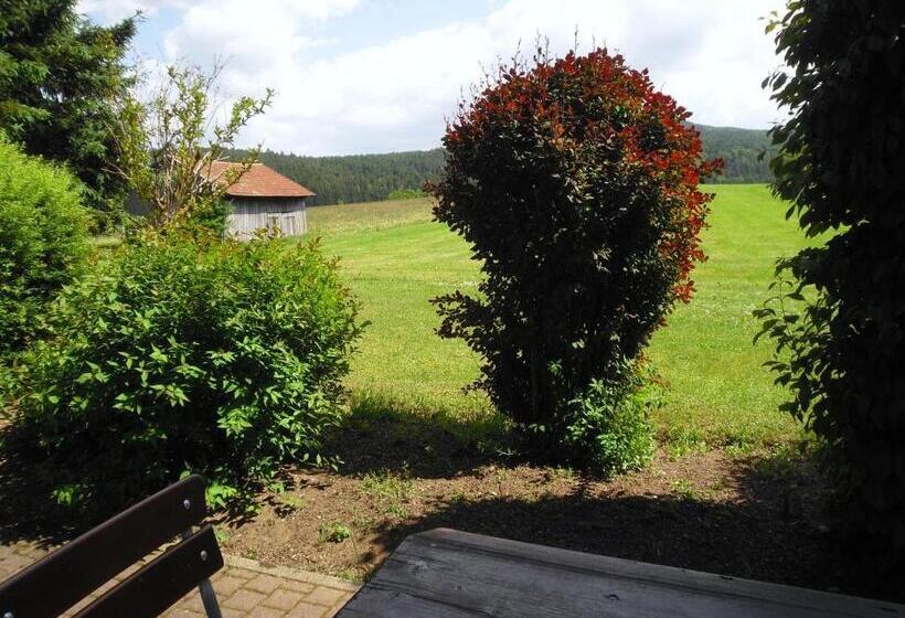 اتاق یک تخته با تراس, Gasthof Pension Kraus