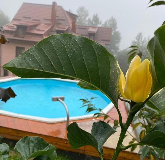 اتاق سوپریور با تخت بزرگ, краса карпат