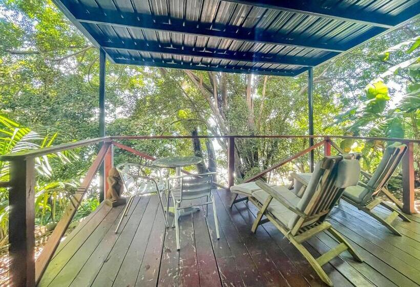 سوئیت با تخت بزرگ, Hostel Island Paradise, Saboga Lodge And Villa Noelia