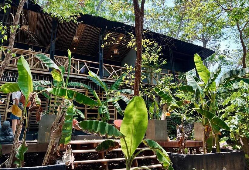 اتاق اکونومی, Hostel Island Paradise, Saboga Lodge And Villa Noelia