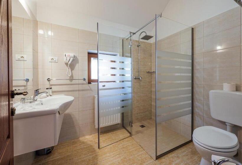 اتاق سوپریور, Pensiunea Comfort