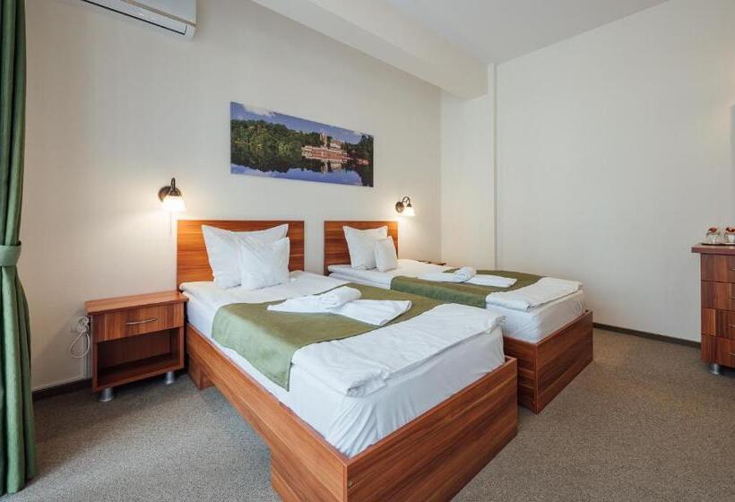 اتاق استاندارد با بالکن, Pensiunea Comfort