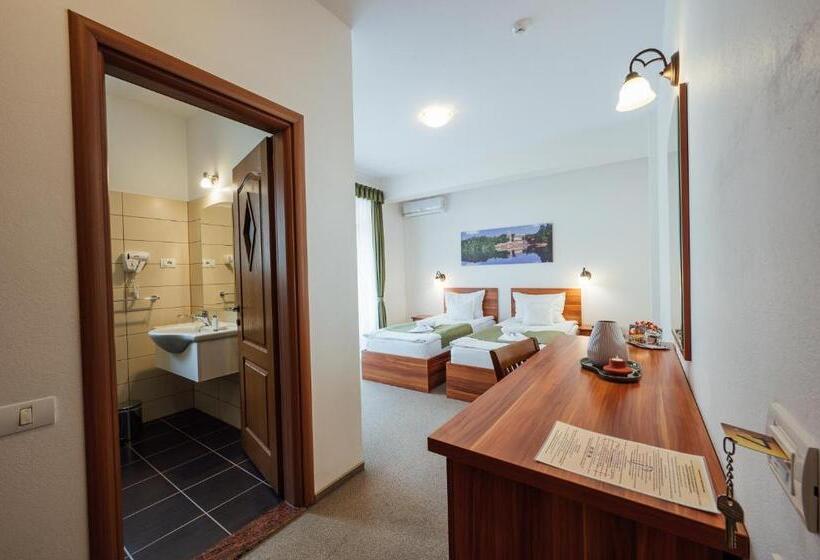 Номер Стандарт с Балконом, Pensiunea Comfort