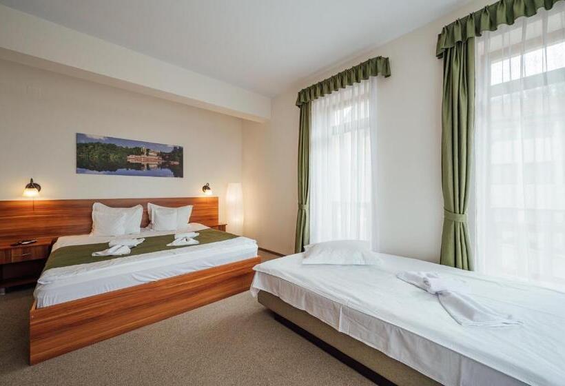 اتاق سوپریور خانوادگی, Pensiunea Comfort