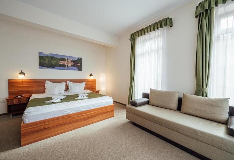 اتاق سوپریور خانوادگی, Pensiunea Comfort