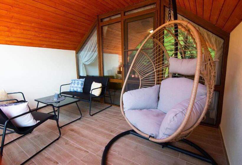 Апартаменты Superior 1 Спальня, Pensiunea Comfort