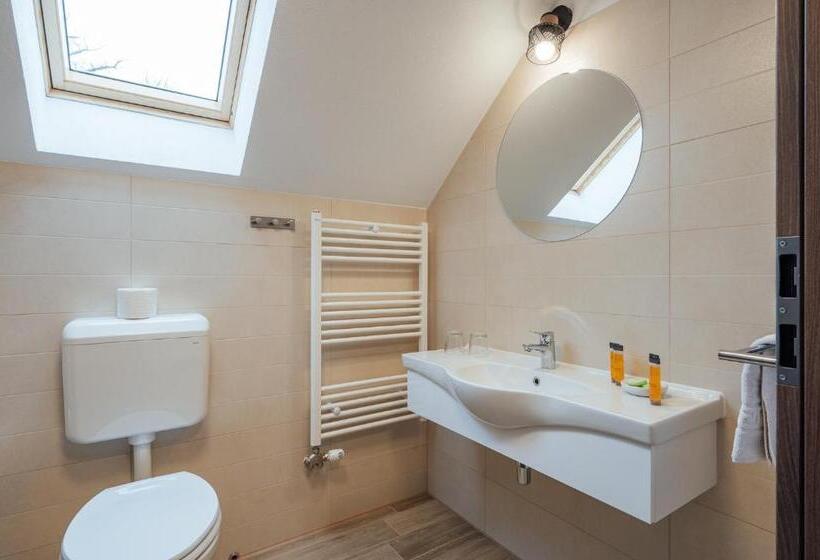 Апартаменты Superior 1 Спальня, Pensiunea Comfort