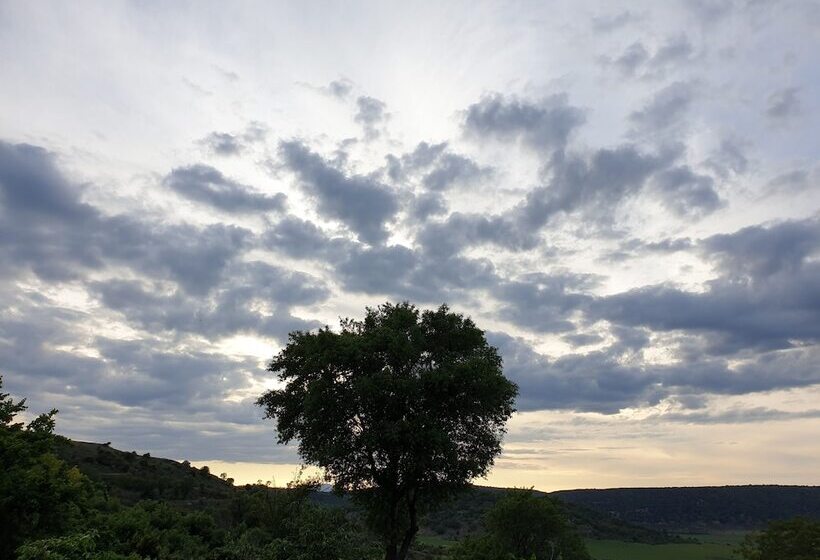 غرفة قياسية, Cardamomo Sigüenza