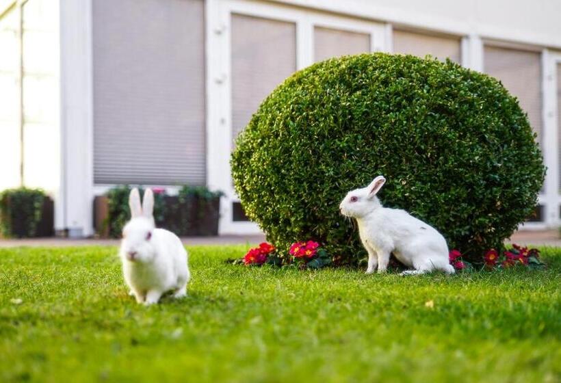 سوییت, The Grand Mark Prague   The Leading Hotels Of The World