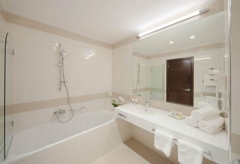 غرفة ديلوكس, Aristos