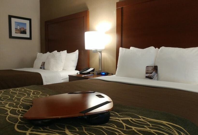 Номер Стандарт 2 Двуспальные Кровати, Comfort Inn Airport