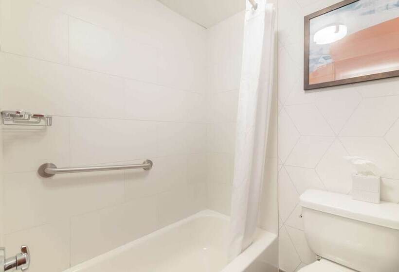 Номер бизнес-класса, Comfort Inn Airport