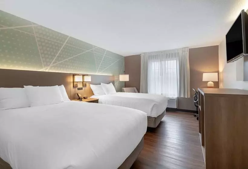 ビジネスルーム, Comfort Inn South Portland Airport