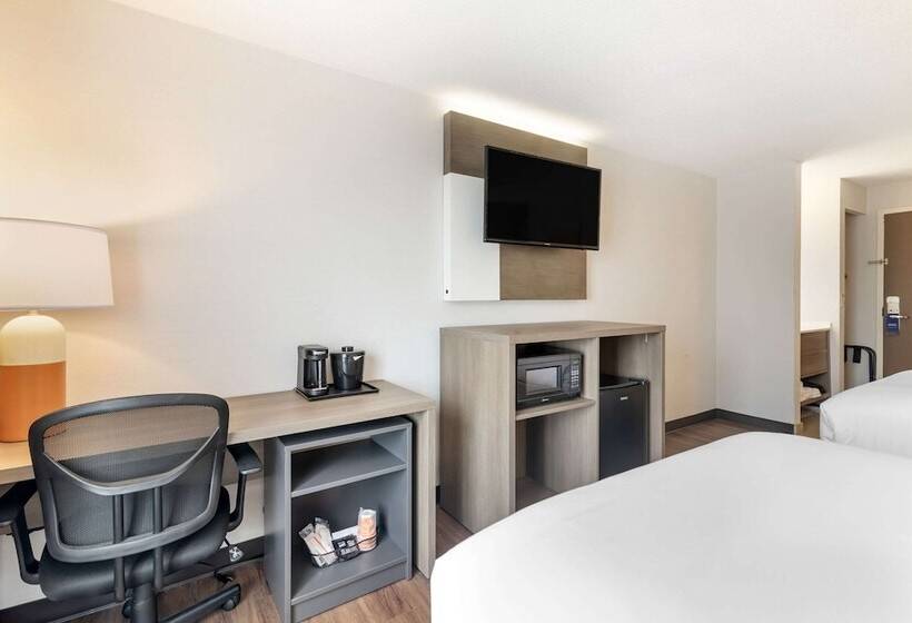 비즈니스룸, Comfort Inn Airport