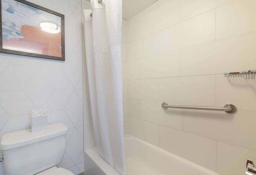 비즈니스룸, Comfort Inn Airport