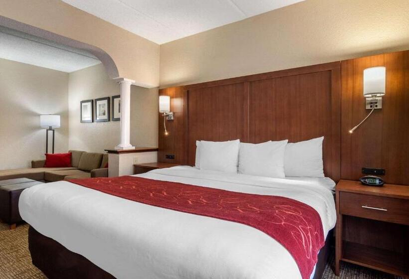 Стандартный Номер Кровать Кинг, Comfort Suites Woodstock   Atlanta North
