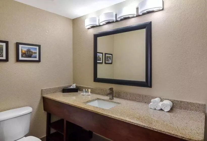 キングサイズベッドのエクゼクティブ, Comfort Suites Woodstock   Atlanta North