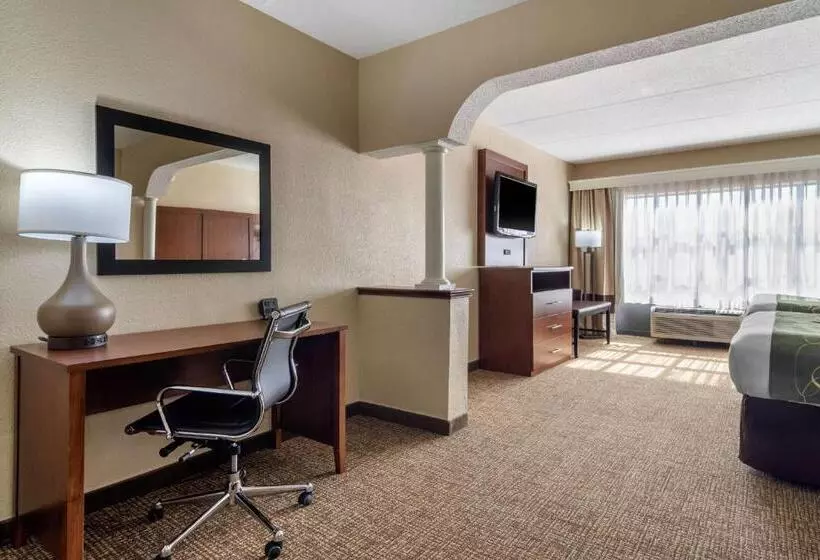 デラックススイート, Comfort Suites Woodstock   Atlanta North