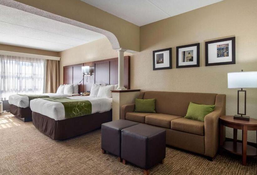 جناح ديلوكس, Comfort Suites Woodstock   Atlanta North