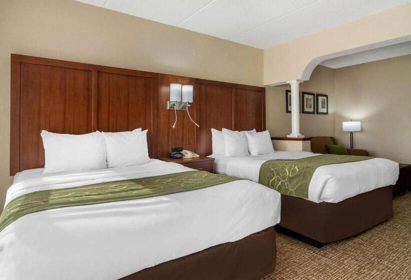 جناح ديلوكس, Comfort Suites Woodstock   Atlanta North