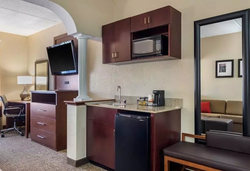 スイート, Comfort Suites Woodstock   Atlanta North