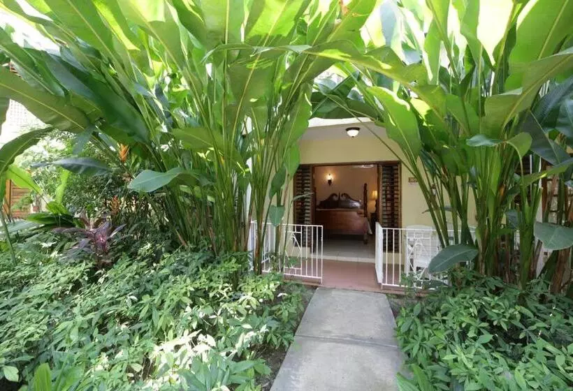 اتاق استاندارد با تخت بزرگ, Negril Palms