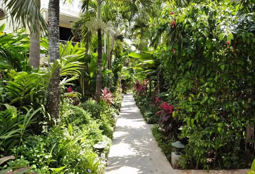 اتاق استاندارد با تخت بزرگ, Negril Palms