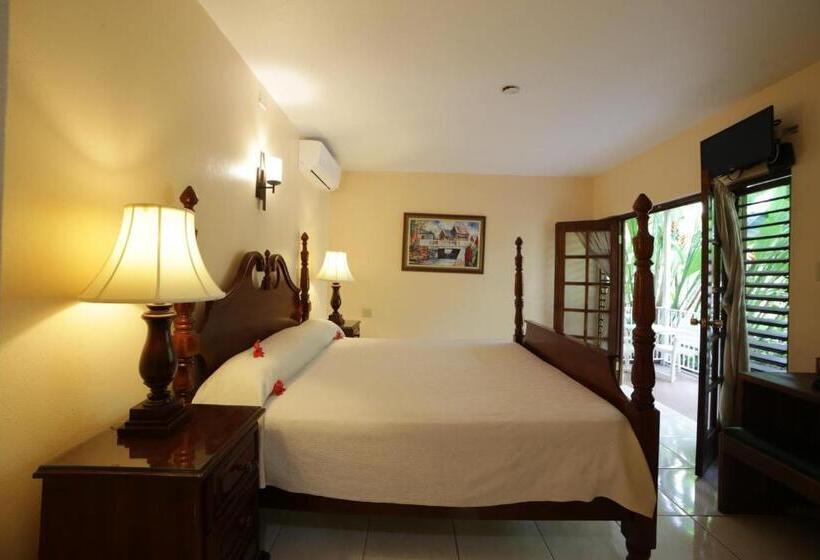 اتاق استاندارد با تخت بزرگ, Negril Palms