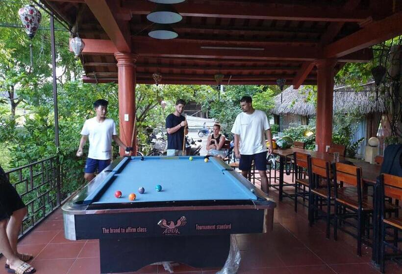 اتاق ساده سه‌ نفره, Cozy Son