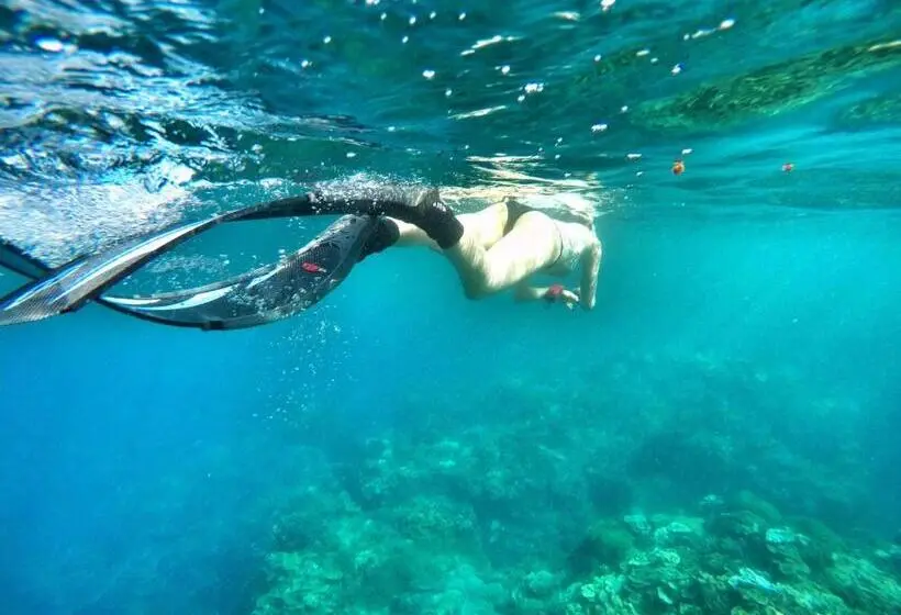 اتاق لوکس با تخت بزرگ, Imanuel Surfing B&b