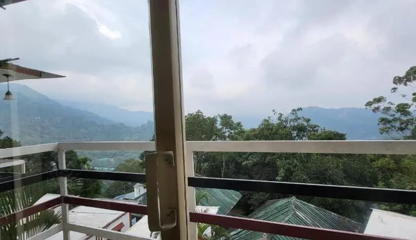 Standard Room King Size Bed, Green Trees Munnar