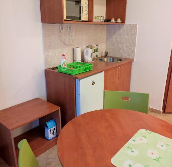 带1个卧室的带阳台的公寓, Szent Kristóf Apartman