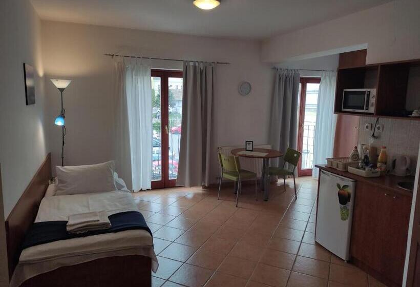 带1个卧室的带阳台的公寓, Szent Kristóf Apartman