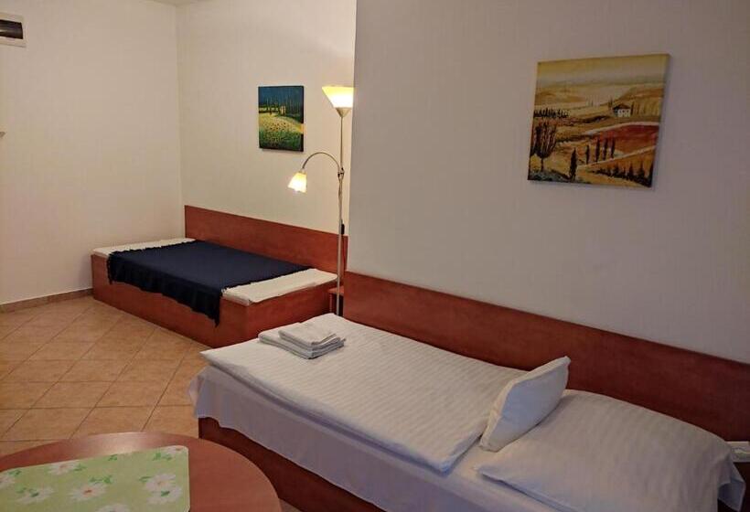 带1个卧室的带阳台的公寓, Szent Kristóf Apartman