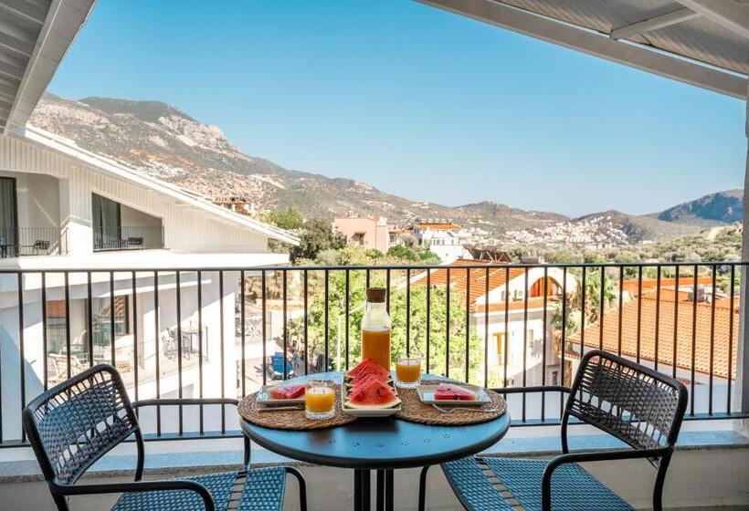 سوئیت با تخت بزرگ, Payava Hotel By True Blue