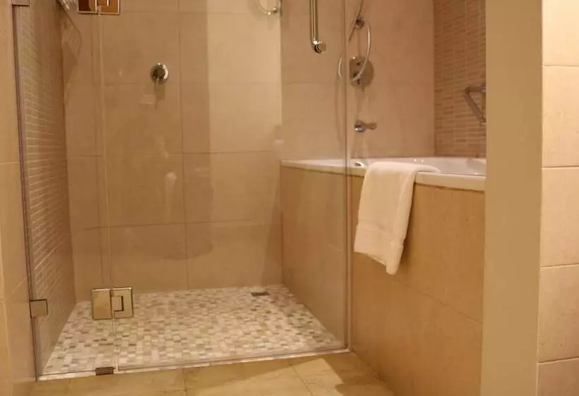 اتاق استاندارد با تخت دوبل, Crowne Plaza Sohar, An Ihg