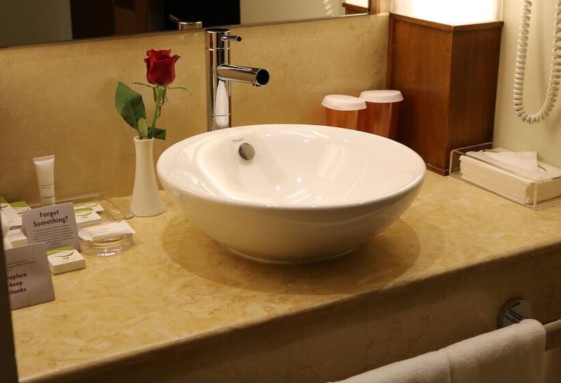 스탠다드 룸 더블 침대, Crowne Plaza Sohar, An Ihg