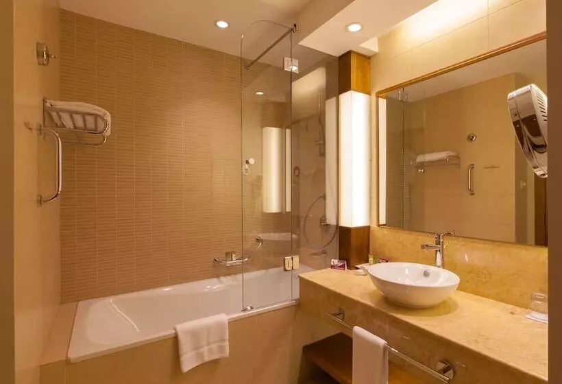 اتاق استاندارد با تخت دوبل, Crowne Plaza Sohar, An Ihg